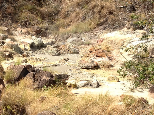 Mud pots in the National Park