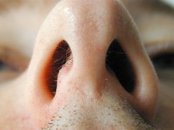 Our Sense of Smell: How Important Is It?