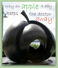 Does an Apple a Day Really Keep the Doctor Away - Myth or Truth?