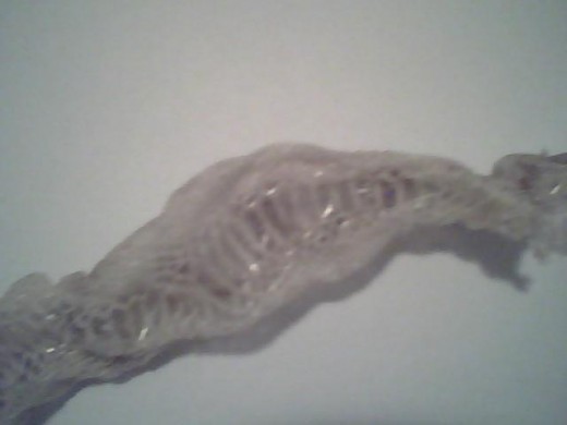close-up of shed skin