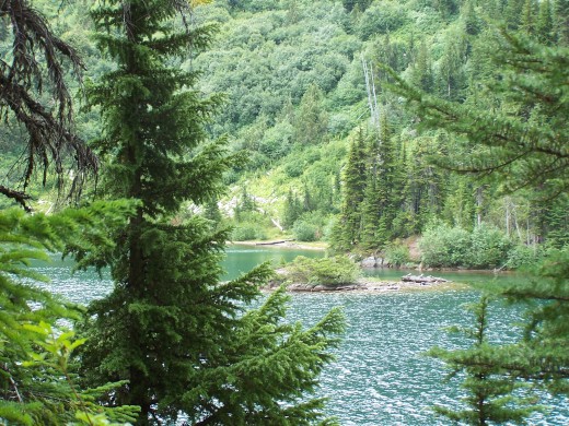 View along Snow Lake Trail