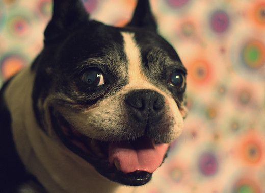 Don't underestimate the power of a smile.