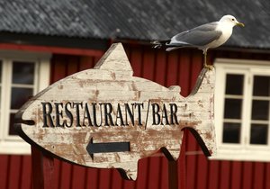 Enjoy food While Traveling