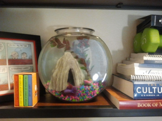 Fishbowl on shelf. Photo Source: Shanna11
