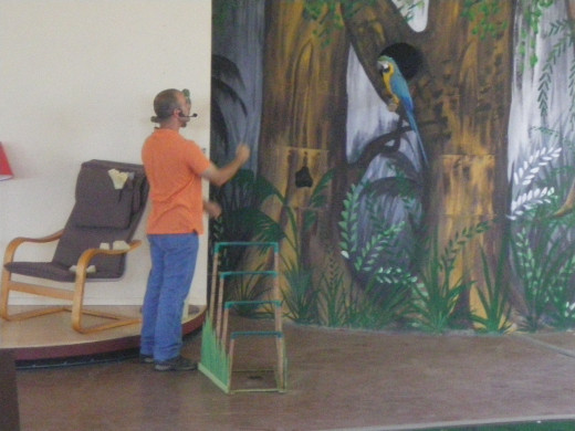 Tropical Birds Show