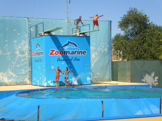 Aqualocos Show