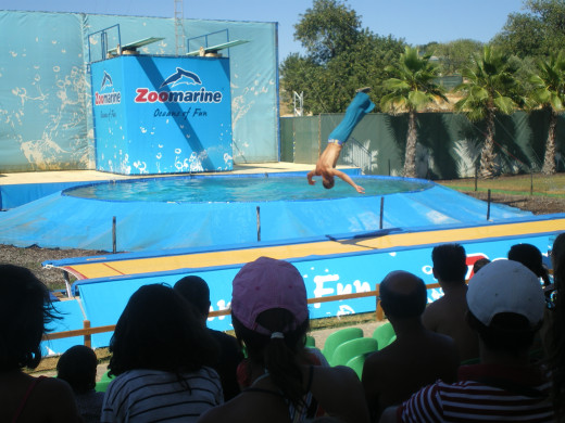 Aqualocos Show