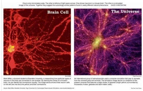 THE BRAIN - THE UNIVERSE