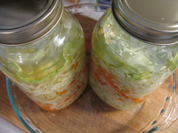 Keep a plate or something similar to catch the liquid that escapes when gas bubbles form Keep a plate or something similar to catch the liquid that escapes when gas bubbles form