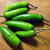 Serrano Peppers "in the raw"