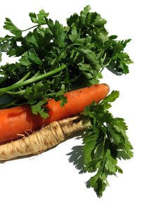 Just a few of the vegetables you add to the soup