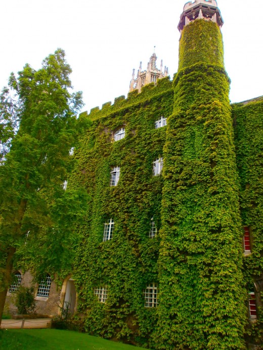 A court of a college. Photo by Flysky