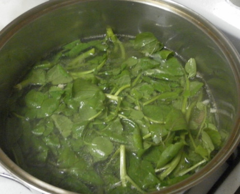 watercress in the pot