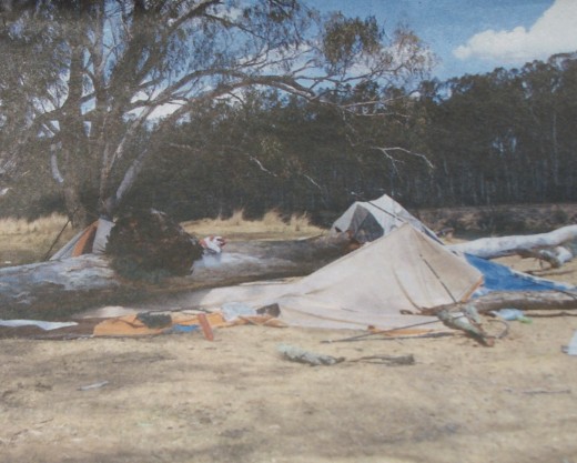 Tree fell near Cobram without warning.  Luckily the person inside was unharmed.  So be warned it can be risky camping under large overhanging trees.  You may not be so lucky