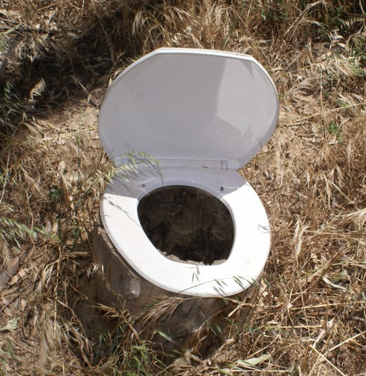 I couldn't resist adding this - we found it while camping in the bush.  They had dug a hole, put a hollow log on top with the toilet seat on top.  How's that for Ingenuity 