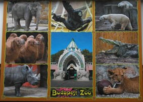 A postcard of Budapest Zoo