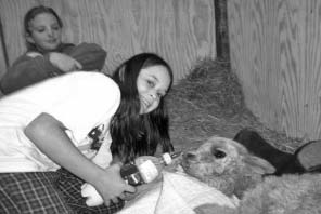 the girls having their sleep over in Jeffery's room the sick little alpaca had a fun night.