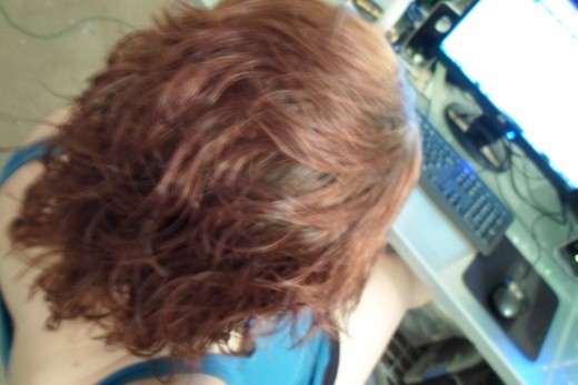 Ever wonder what the back of your head looks like?  Disregarding color (sorely in need of recoloring my hair), this is my fancy new 'do complete with mousse.  Which I already know I won't keep doing...