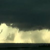 Alberta Storms profile image