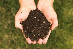 Reduce, Re-Use, and Recycle, Using a Compost Bin