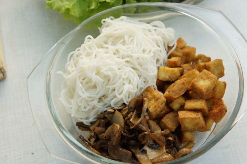 Ingredients, tofu mushroom summer rolls, vegetarian rolls