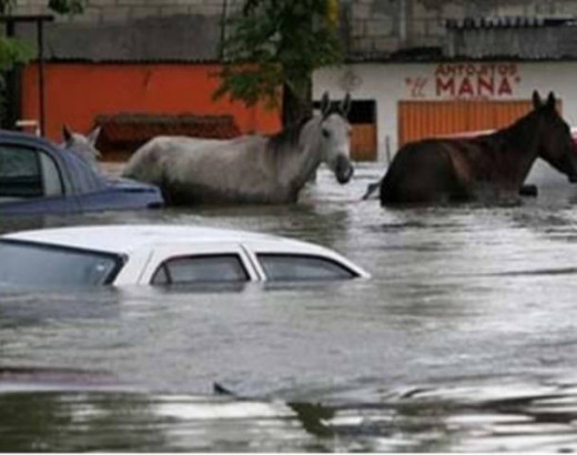 All manner of transportation is affected from flooding.