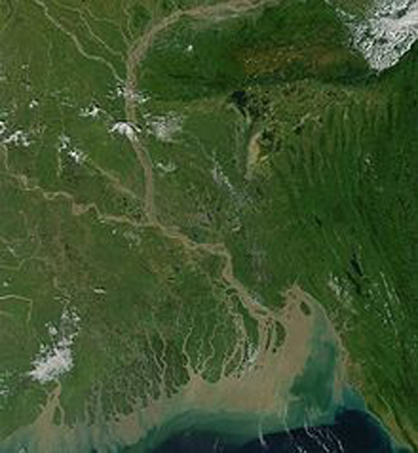 This image shows the depth of the flooding in Bangladesh, the brown areas being those areas that have flooded recently.