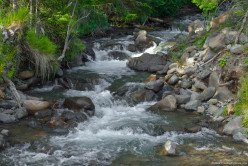 Humility, My Life as  a River Rock (Learning to Release My Need for Approval)