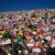 waste plastic bottles waste plastic bottles
