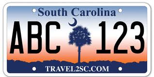 How Many Different State License Plates can You Find?