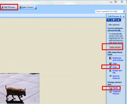 Microsoft Office Picture Manager