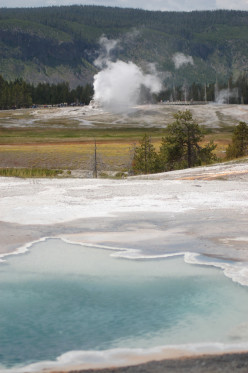 Old Faithful and the Surrounding Geothermal Activity at Yellowstone National Park