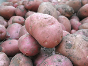 Enjoy healthy purple potatoes.