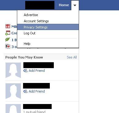 Click the drop-down arrow to the right of Home on your home screen and then click "Privacy Settings."