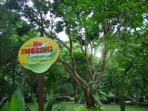 Part of the lush tropical gardens surrounding the hospital buildings