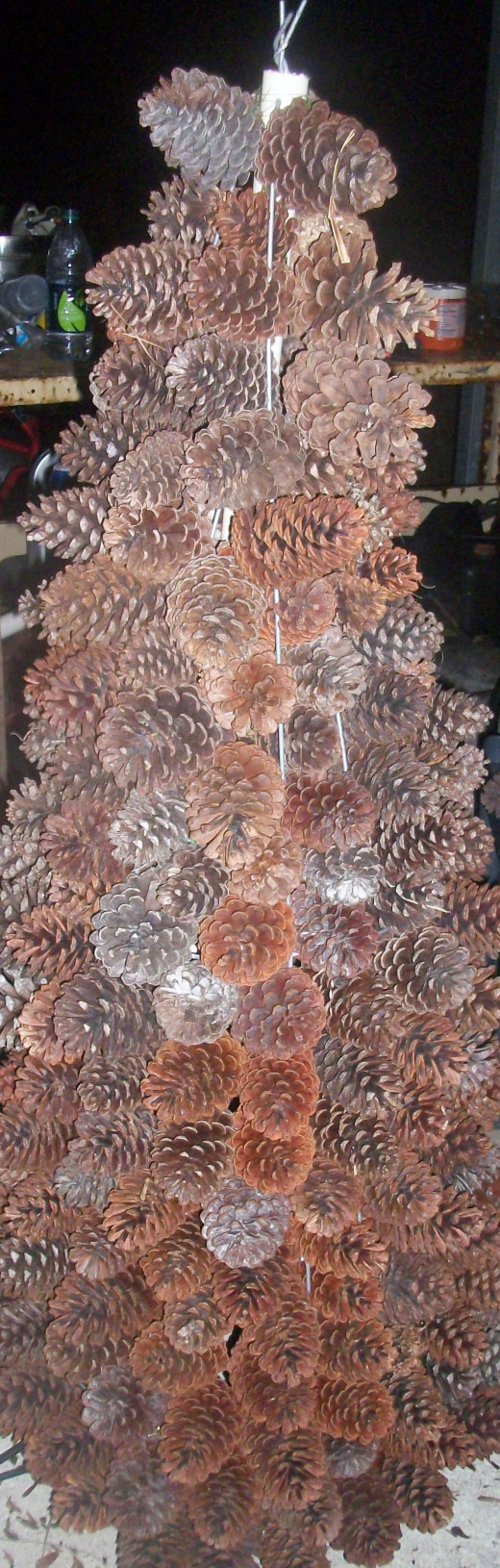 Pine Cone tree 