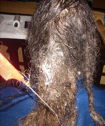 http://s2.hubimg.com/u/6887037.jpg