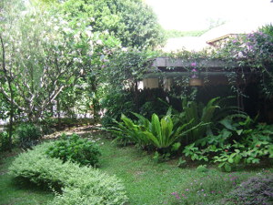 Restrooms surrounded by tropical greenery