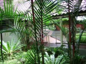 View from a room in Ward 8 (A Class ward)