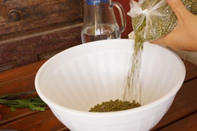 soak green mung beans in cold water from morning till the afternoon