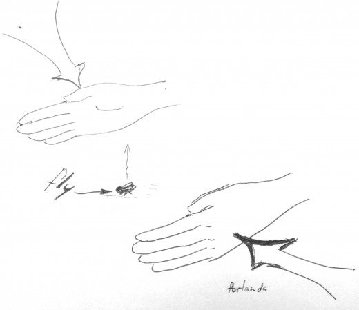 taking advantage of the fly's flight trajectory