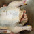Marinate A Chicken with Herbs, Garlic, Olive Oil and Salt Marinate A Chicken with Herbs, Garlic, Olive Oil and Salt
