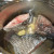 Tilapia Tilapia