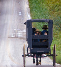 Understanding the Amish