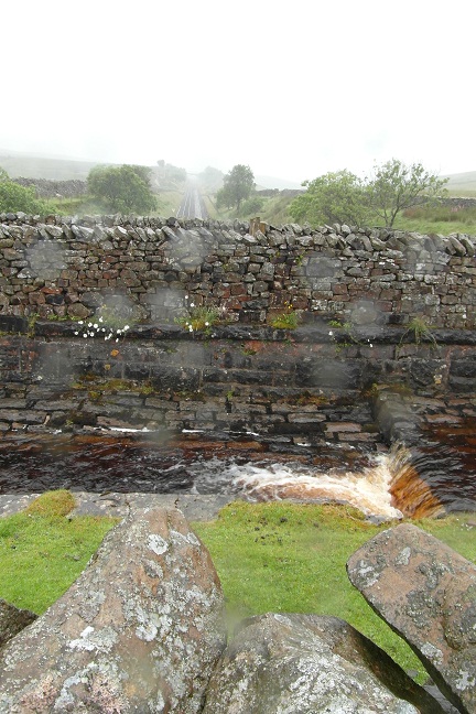 Ribblehead aquaduct (P12)