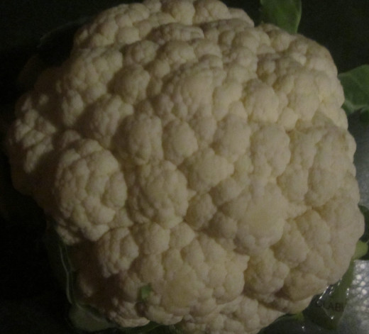 Cauliflower Brain