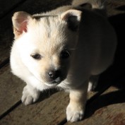 peaker profile image