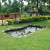 Fascinating lawn and a cement tortoise in the premises Fascinating lawn and a cement tortoise in the premises