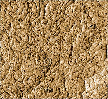 Mars photo shows traces of coiled lava flow 