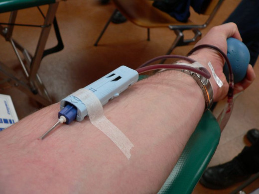 The Blood flows through the tube into a bag that holds up to a pint of blood.